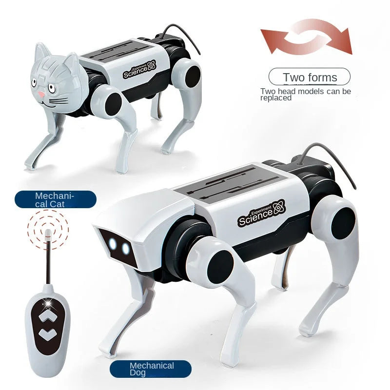 Robot Cane Solare RC Educativo