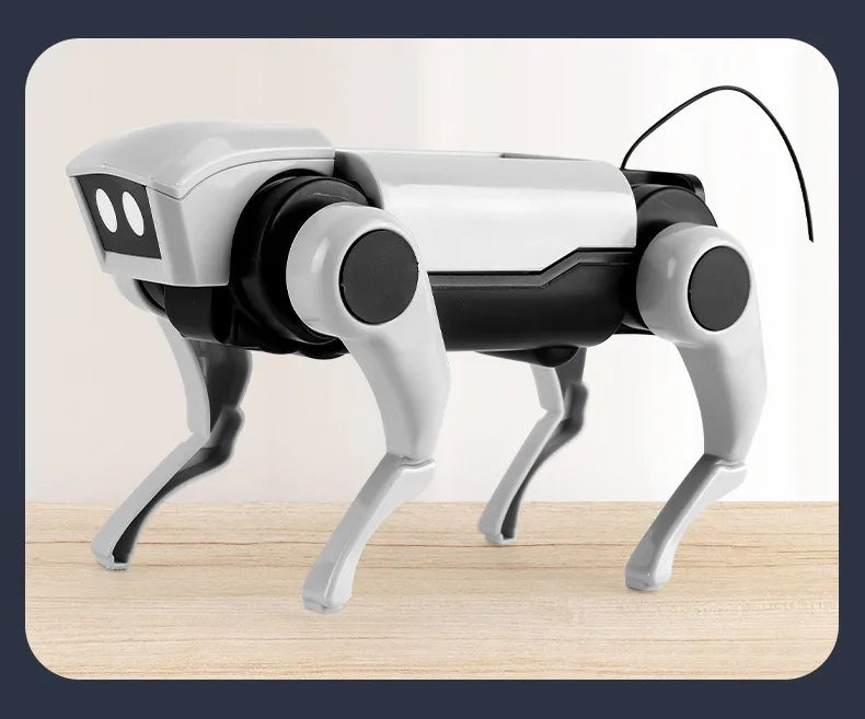 Robot Cane Solare RC Educativo