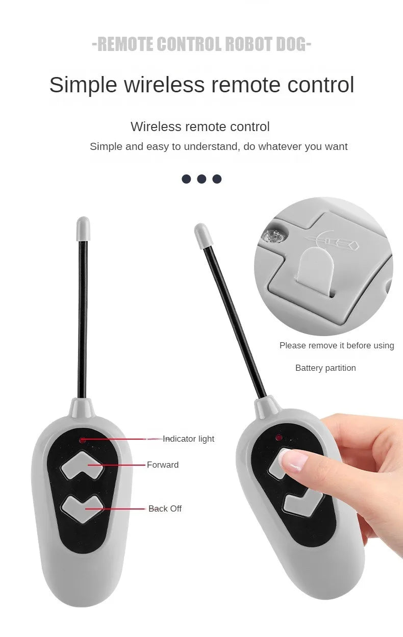 Robot Cane Solare RC Educativo