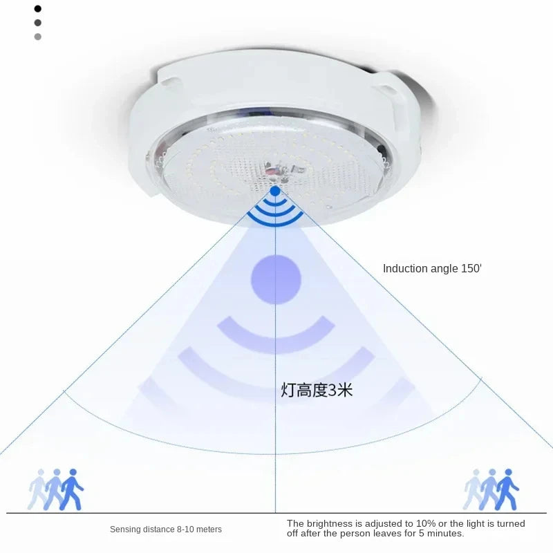 Solar lights Indoor Home Top Ceiling House Outdoor Garden pandent light Panel Lamp Fixture For Corridor Garden Living Room